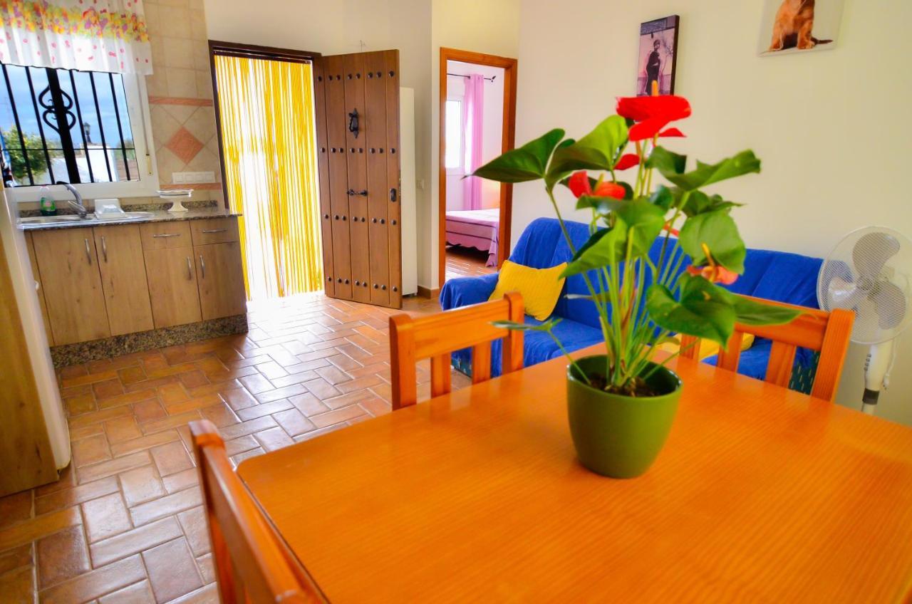 Вілла Casa Manoli Коніль-де-ла-Фронтера Екстер'єр фото